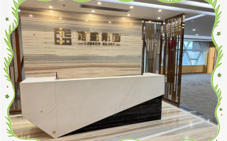 深圳市金融投资公司有何业务优势？