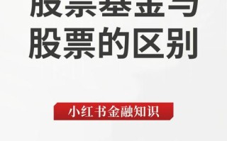 股票基金和混合基金怎么选？