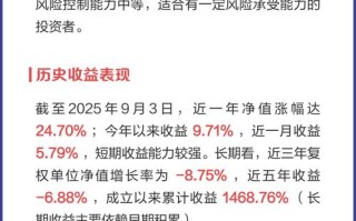 华夏回报基金表现如何？