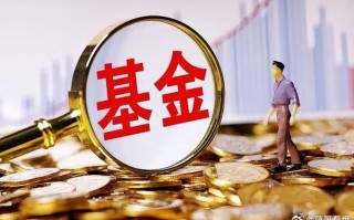山金金控稳健一号基金