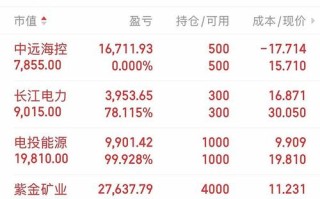 股指期货哪家公司持仓量最高？