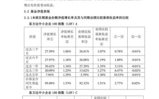 2025年证券投资报告