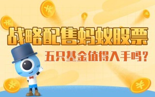 五只基金配售蚂蚁，比例多少？