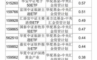 中银汇金产业投资基金有何投资亮点？