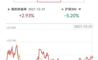 投资者收益如何实现最大化？