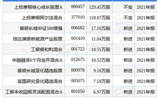 上投摩根核兴成长基金