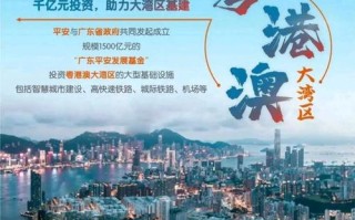 中国平安投资了哪些项目？