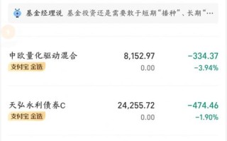 基金持仓比例为何以基金为主？