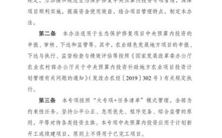 专项建设基金有何作用与影响？