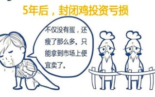 开放式与封闭式基金有何核心区别？