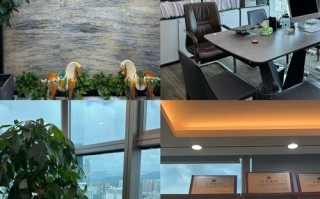 安信乾宏投资有限公司是做什么的？