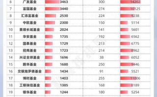 基金最新净值指什么？