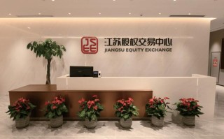 江苏财通投资有限公司背景如何？