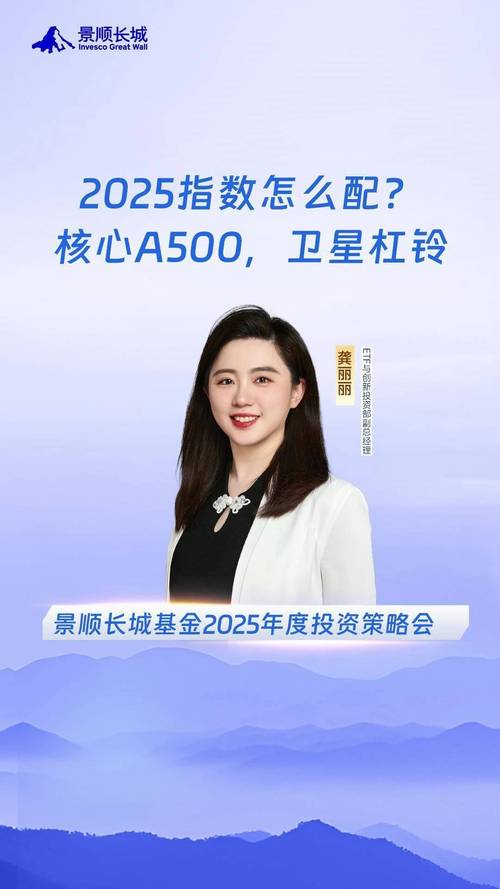 景顺长城新兴成长基金净值今日多少？-第3张图片-华宇铭诚