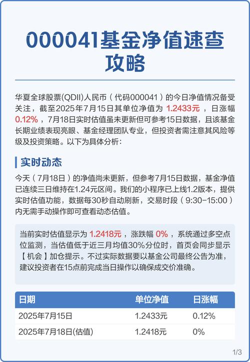 华夏全球精选基金今日净值多少钱？-第3张图片-华宇铭诚
