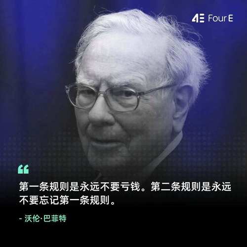 欧洲巴菲特策略如何赚钱？-第2张图片-华宇铭诚