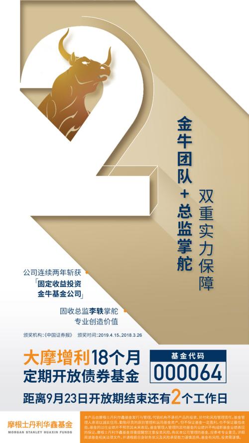 大摩华鑫基金000064-第2张图片-华宇铭诚