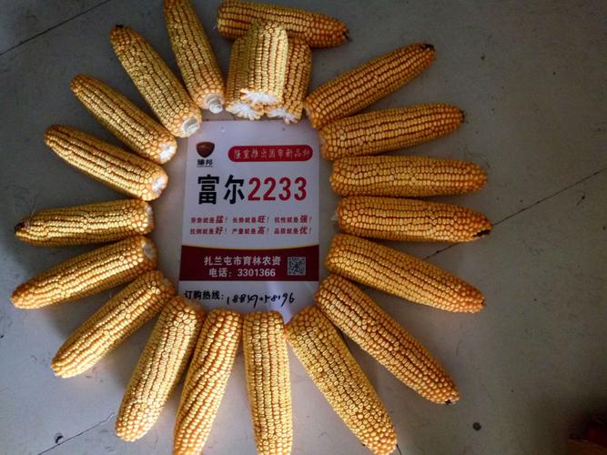 大摩华鑫基金000064-第3张图片-华宇铭诚