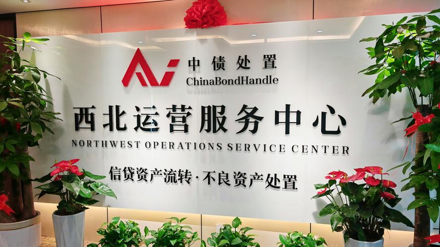 北京银新投资有限公司是做什么的?-第1张图片-华宇铭诚 北京银新投资有限公司是做什么的?-第1张图片-华宇铭诚