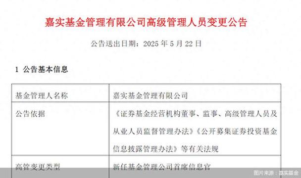嘉实基金官网有哪些核心功能？-第2张图片-华宇铭诚