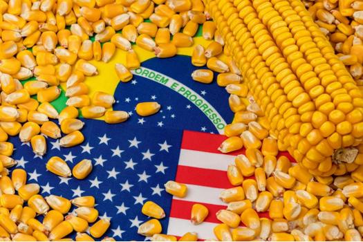 美国玉米期货国际期货有何投资趋势？-第1张图片-华宇铭诚