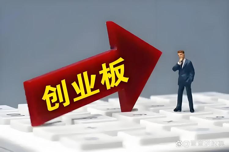 150153创业板B基金为何波动这么大？-第2张图片-华宇铭诚