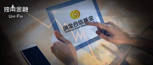 创金合信基金管理有限公司-第3张图片-华宇铭诚