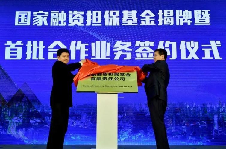 通银担保投资有限公司-第3张图片-华宇铭诚