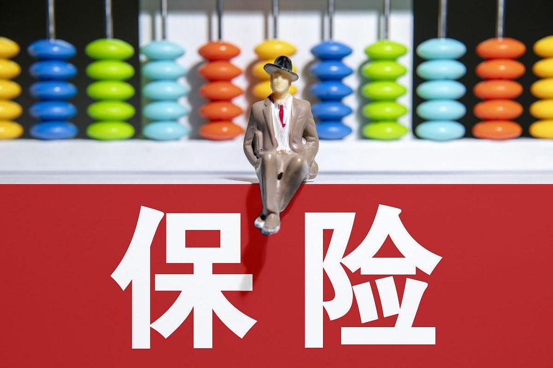 投资连结保险的风险与收益如何平衡？-第3张图片-华宇铭诚