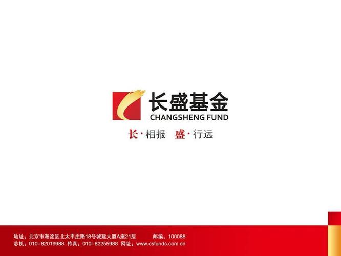 长盛投资集团有限公司是做什么的？-第1张图片-华宇铭诚