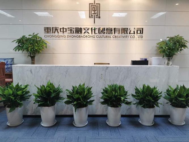 重庆市中宝投资集团是做什么的？-第3张图片-华宇铭诚