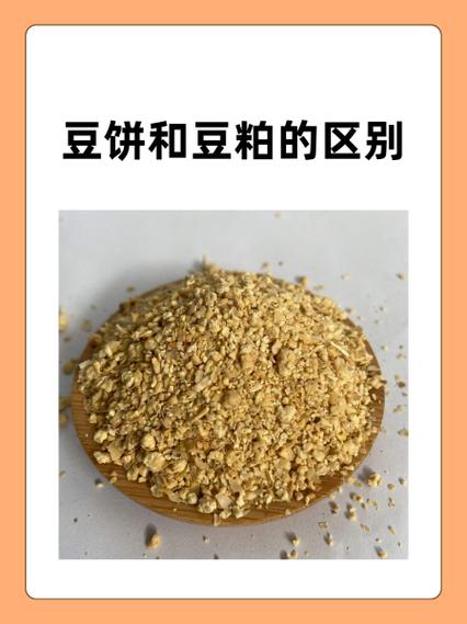 豆粕期货与现货价格如何联动？-第3张图片-华宇铭诚