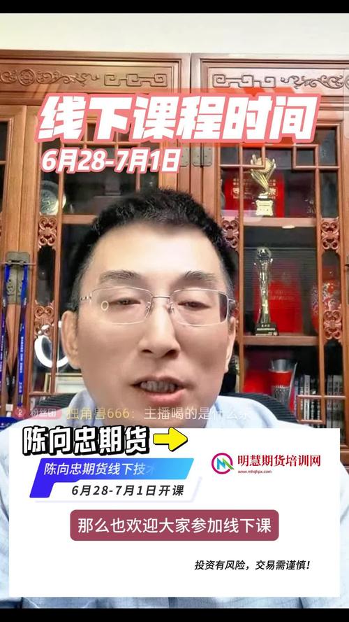 期货陈向忠交易技术有何实战秘诀？-第2张图片-华宇铭诚