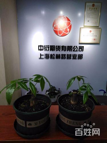 杭州期货公司招聘有哪些岗位要求？-第1张图片-华宇铭诚