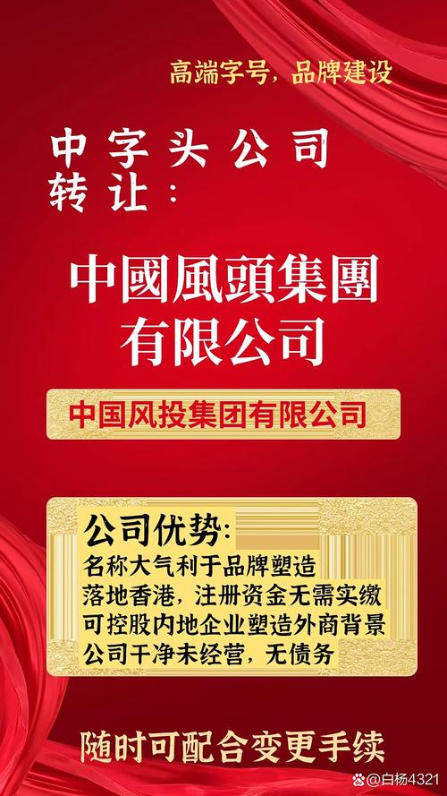 中国风投投资有限公司究竟是谁？其背后有何神秘背景？-第1张图片-华宇铭诚