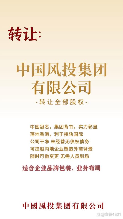 中国风投投资有限公司究竟是谁？其背后有何神秘背景？-第2张图片-华宇铭诚