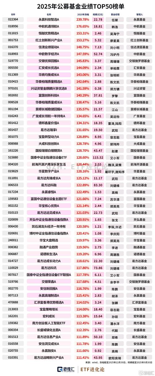 2025定投基金排名怎么选？-第2张图片-华宇铭诚