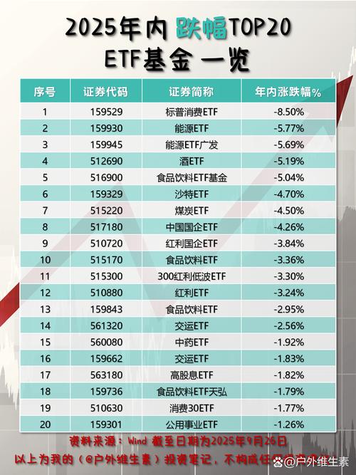 2025股票基金排名谁将领跑？-第2张图片-华宇铭诚