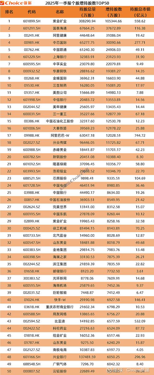 基金 季报 2025-第1张图片-华宇铭诚