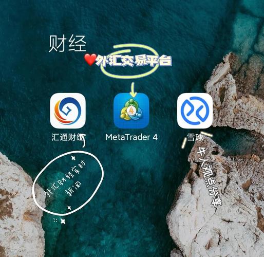 外汇期货交易软件该怎么选？-第1张图片-华宇铭诚