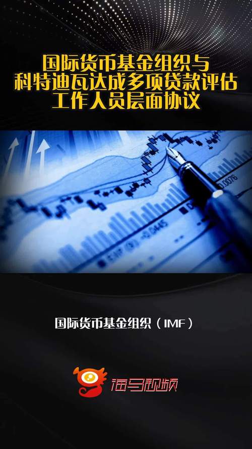 国际货币基金组织贷款有何影响？-第2张图片-华宇铭诚