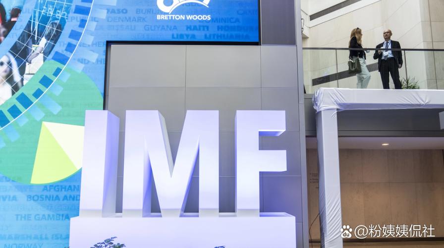 国际货币基金组织贷款有何影响？-第3张图片-华宇铭诚