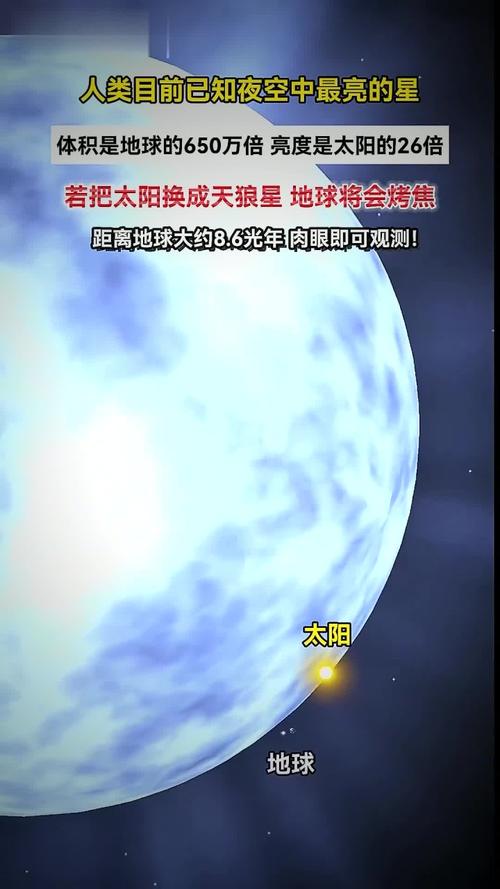 期货软件.首选天狼星-第3张图片-华宇铭诚