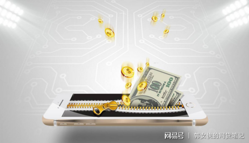 拍拍贷散标投资安全吗？-第3张图片-华宇铭诚