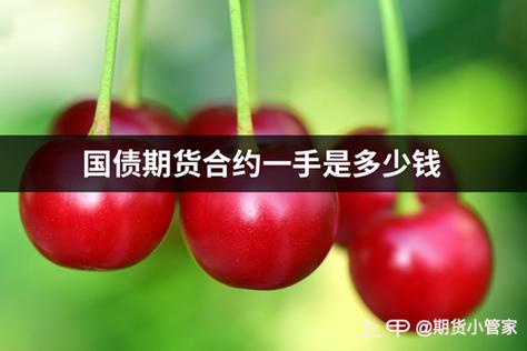 国债期货一手多少钱？-第2张图片-华宇铭诚