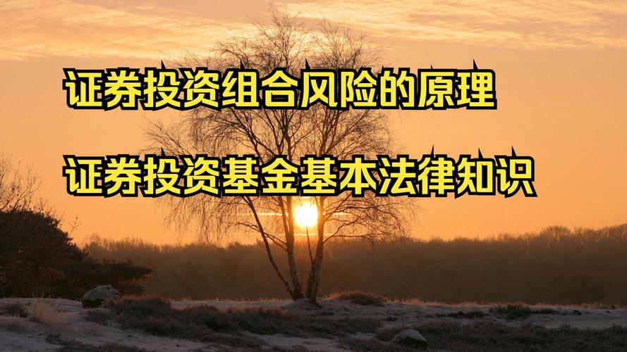 证券投资基金投资风险有哪些？-第3张图片-华宇铭诚