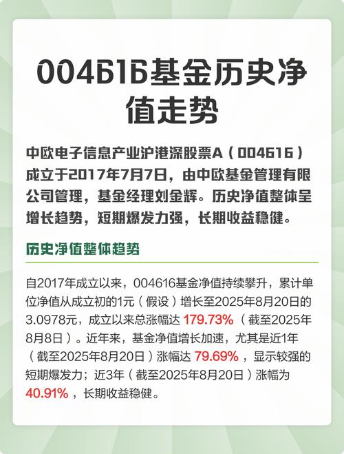 电子信息产业发展基金有何作用？-第3张图片-华宇铭诚