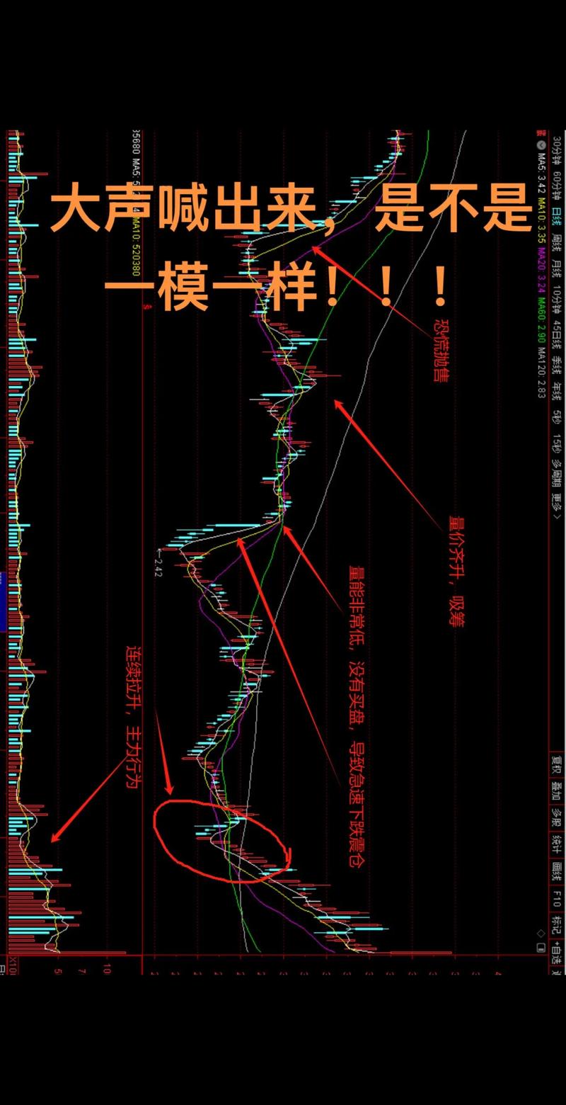 王向洋期货操作手法有何秘诀？-第2张图片-华宇铭诚