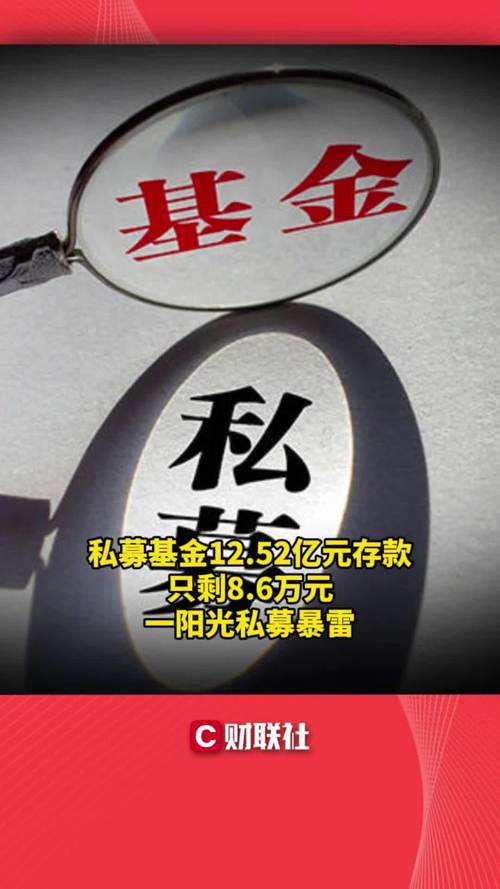 阳光私募股权投资基金如何运作？-第3张图片-华宇铭诚