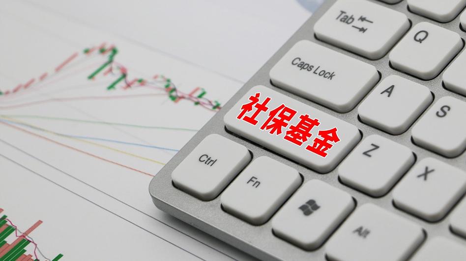 全国社保基金组合如何配置？-第2张图片-华宇铭诚